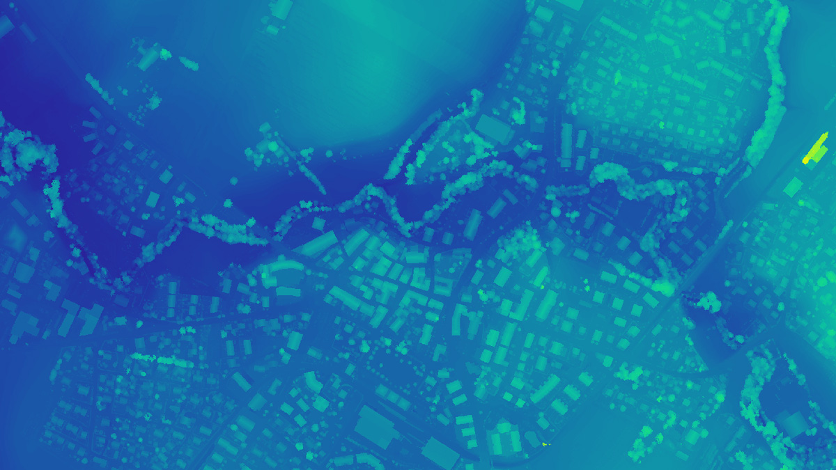 Digital surface model