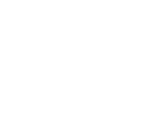 LOGO ESRI